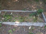 image of grave number 151347